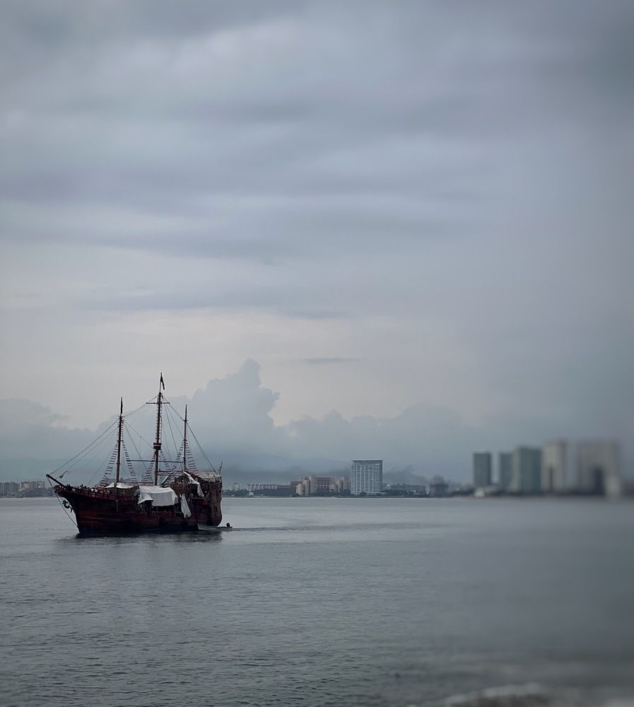 Фотография автора Татьяна Мичу-Николаевич