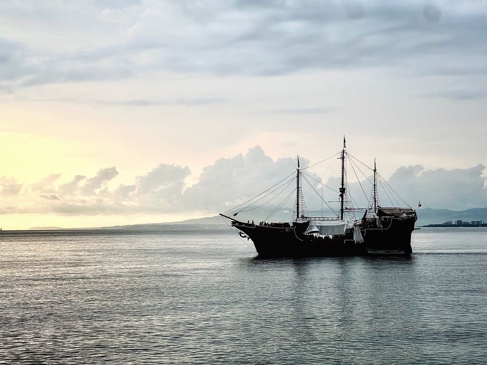 Фотография автора Татьяна Мичу-Николаевич