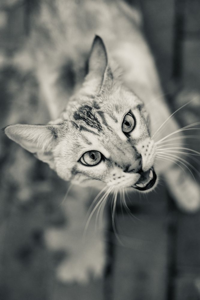 Photograph by Вера Короткова