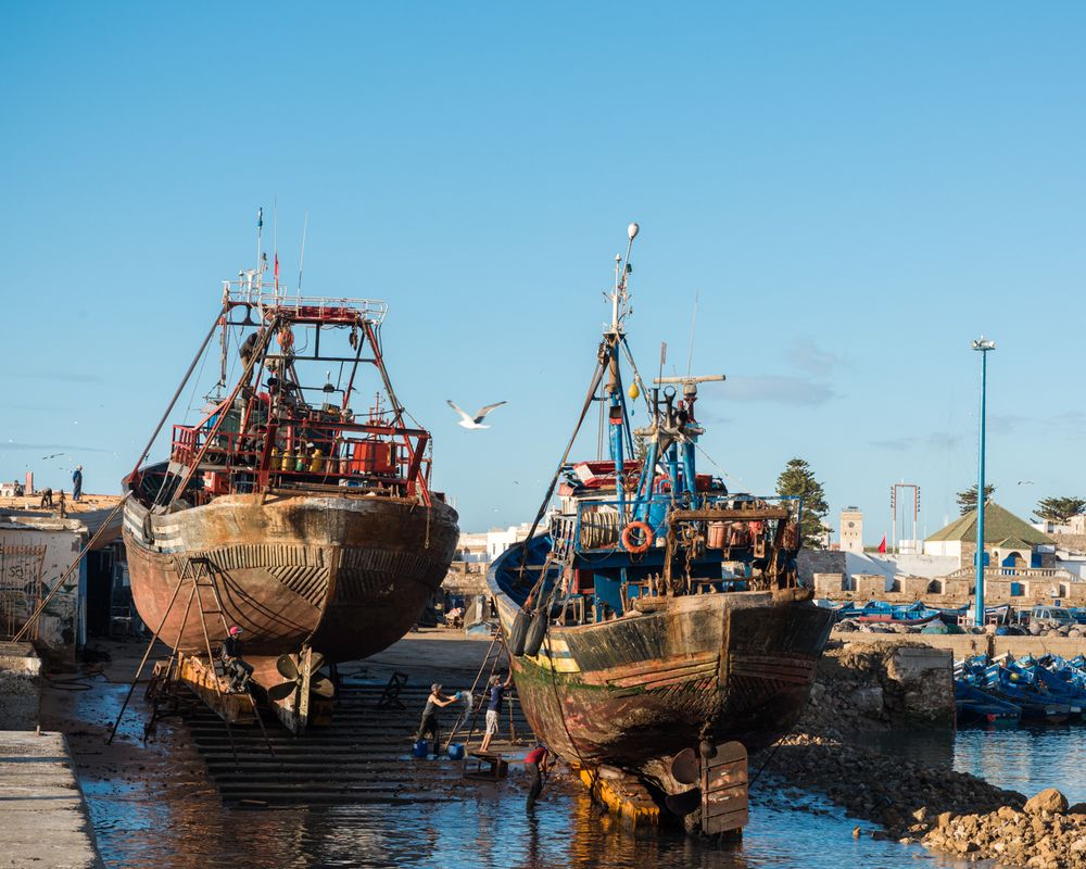 Фотография автора Sophie Abuhazera