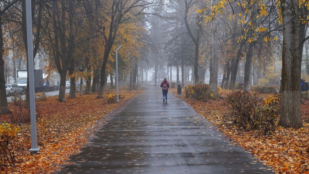 Photograph by Сушкевич Светлана