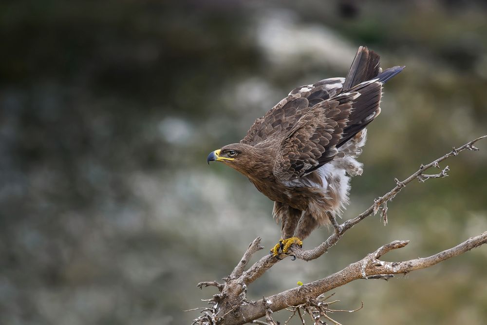 Во всей красе.