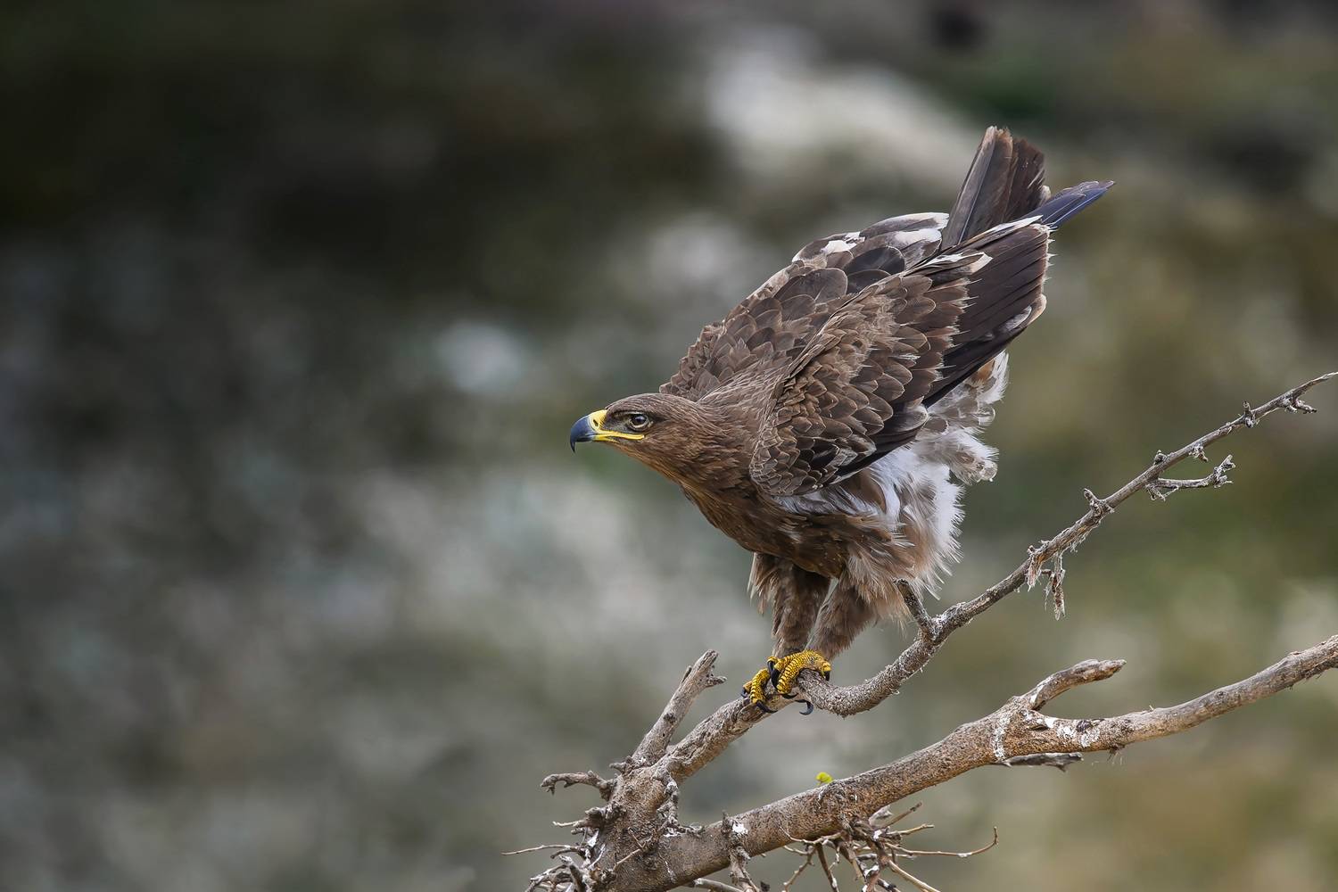 Во всей красе.