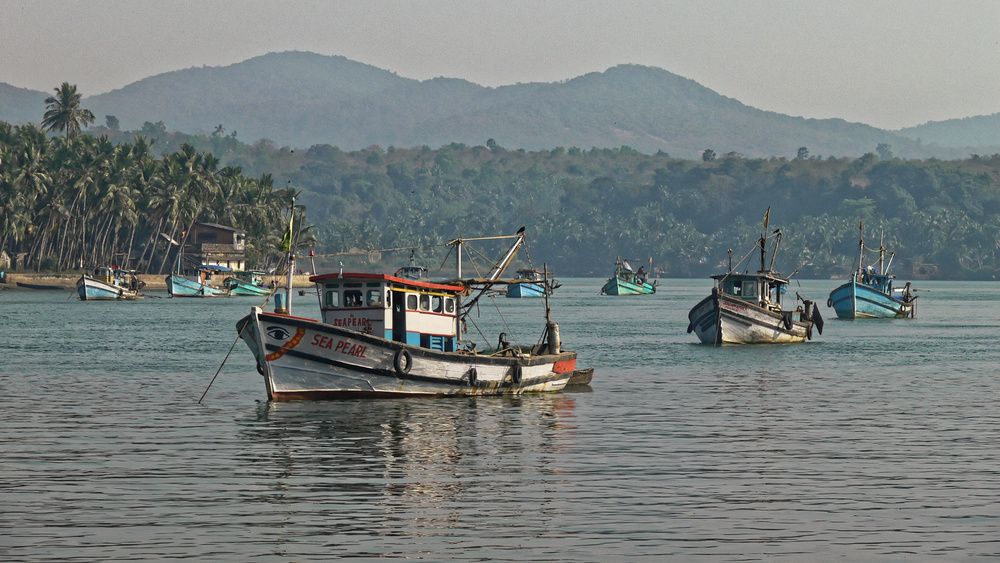 Фотография автора Анатолий Дауров