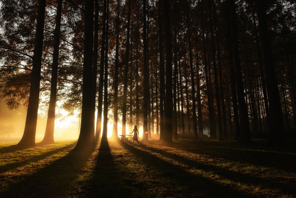 Photograph by i_ ha__to