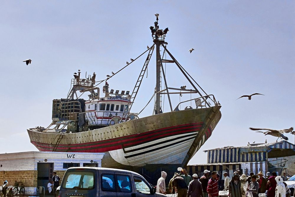 Фотография автора Анатолий Дауров