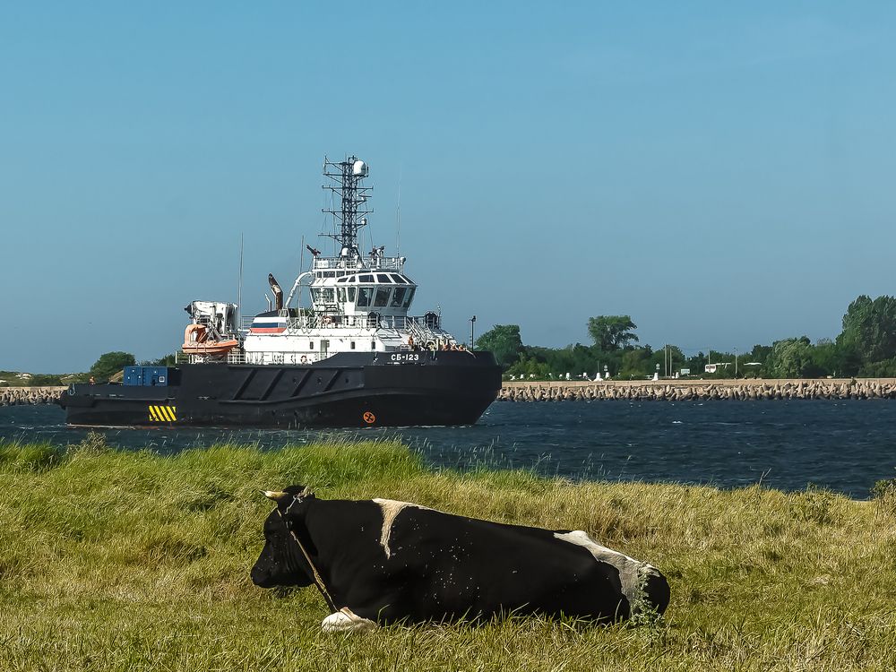 Photograph by Наталья Колеватова