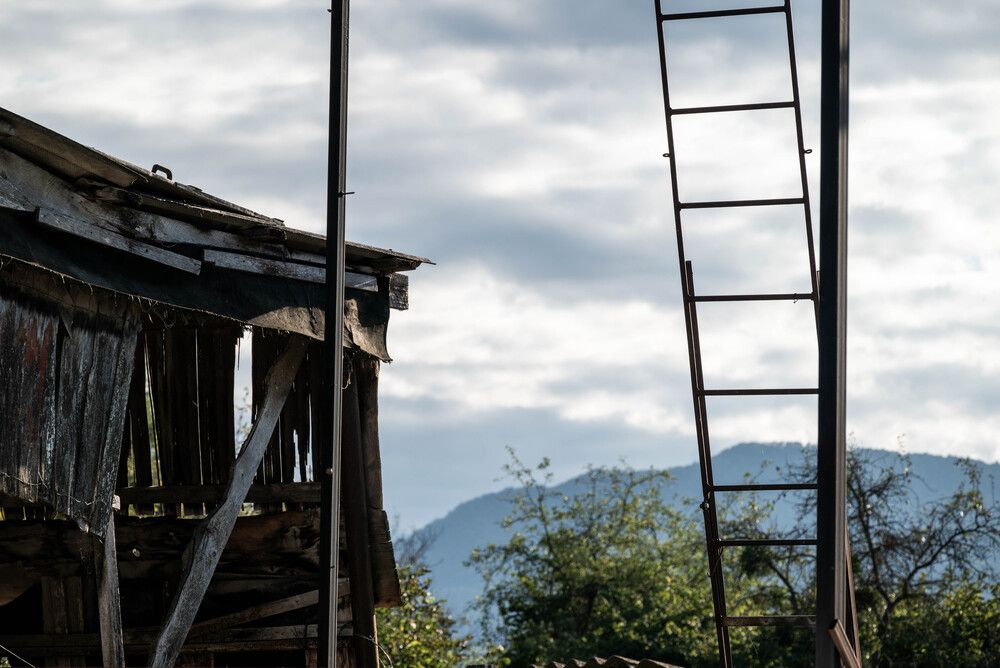 Photograph by Ирина Сергиевская