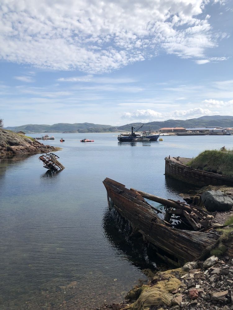 Photograph by Светлана