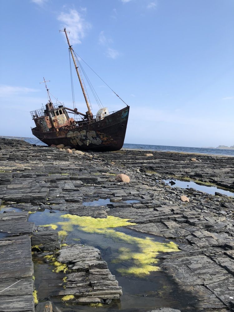 Photograph by Светлана