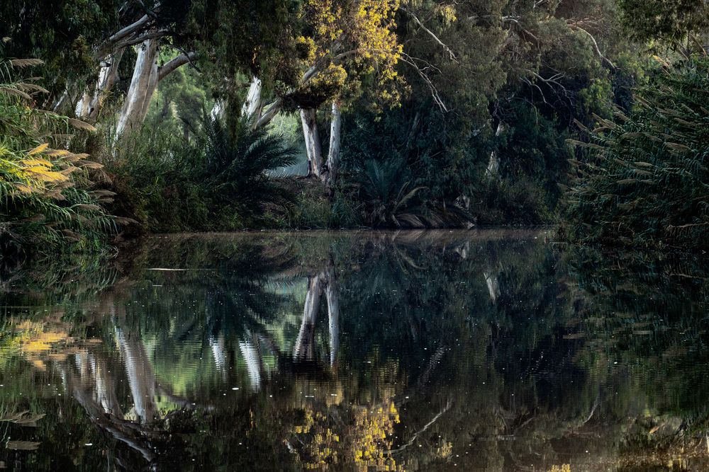 Photograph by Igor Shulkin