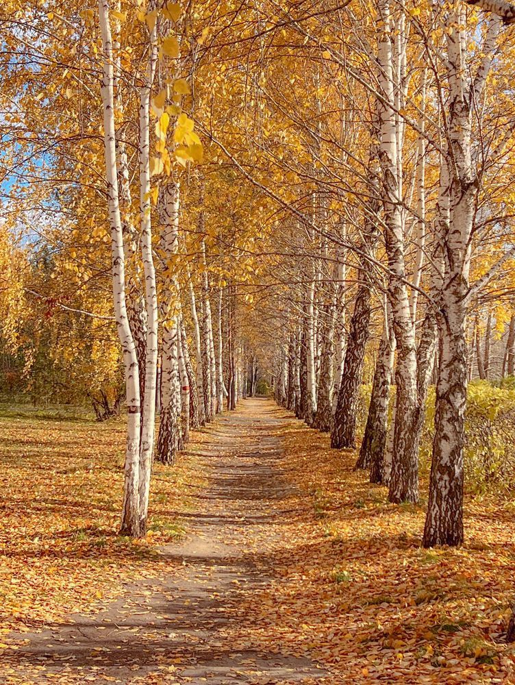 Photograph by Татьяна Волохова
