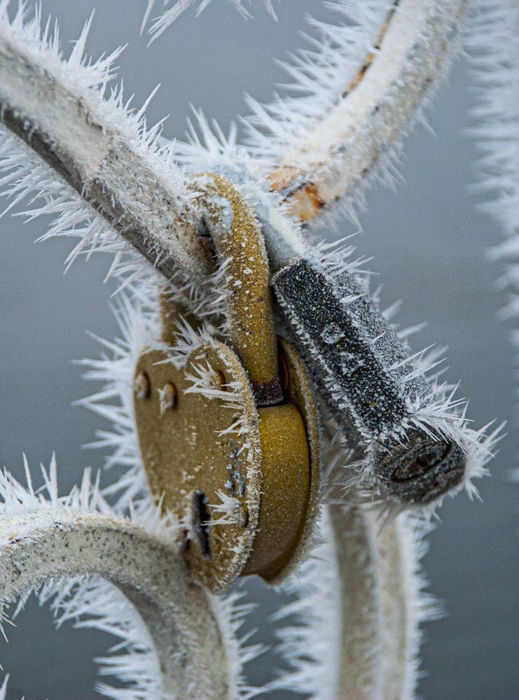 Фотография автора Денис Колесников