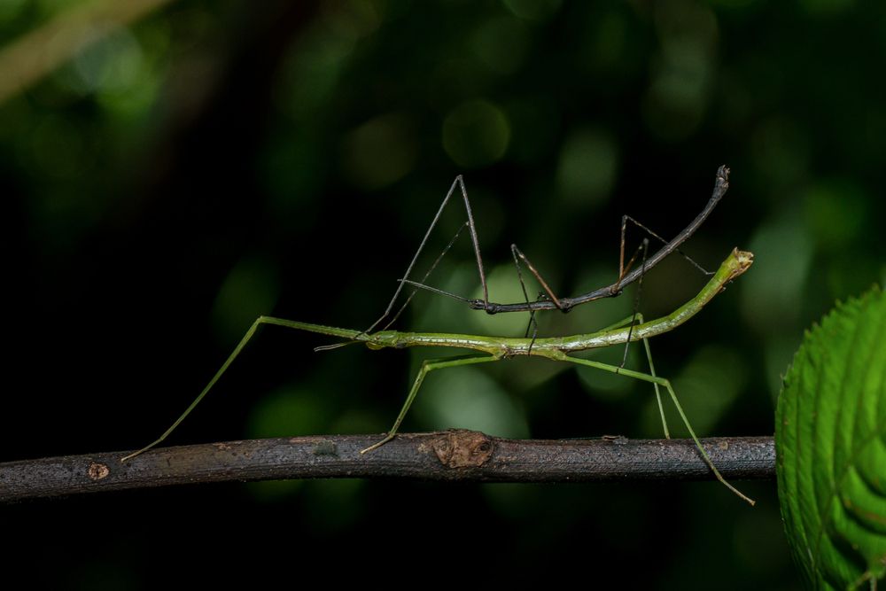 Photograph by Ngọc Hiếu Bùi