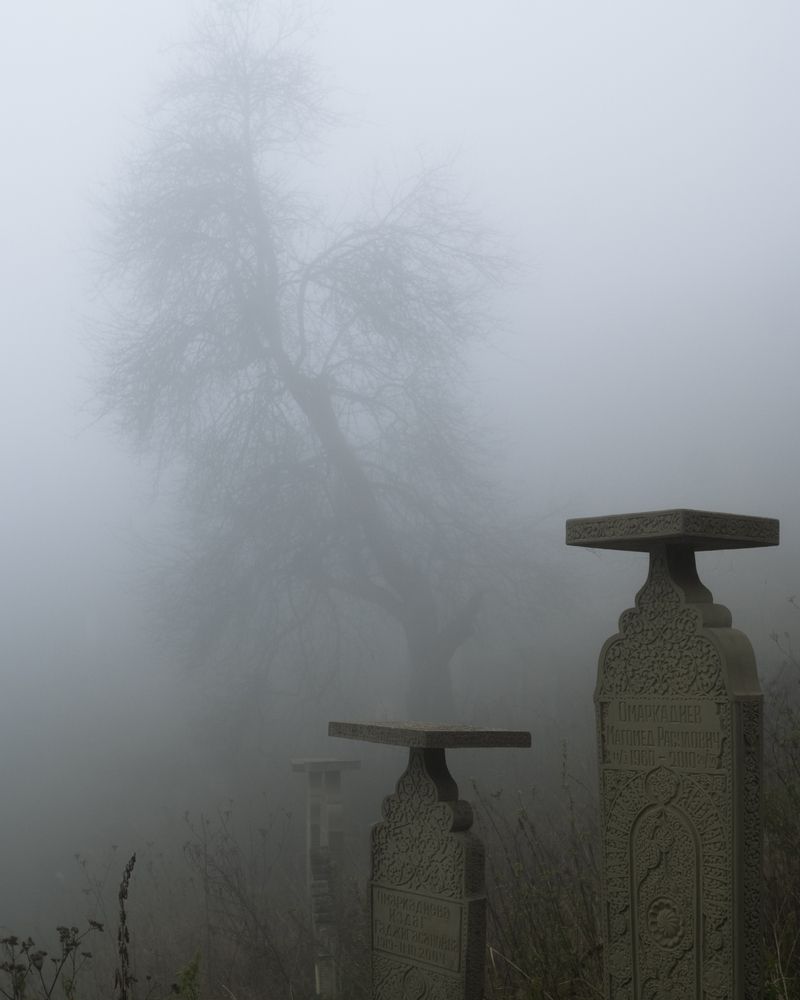 Photograph by Быстров Алексей