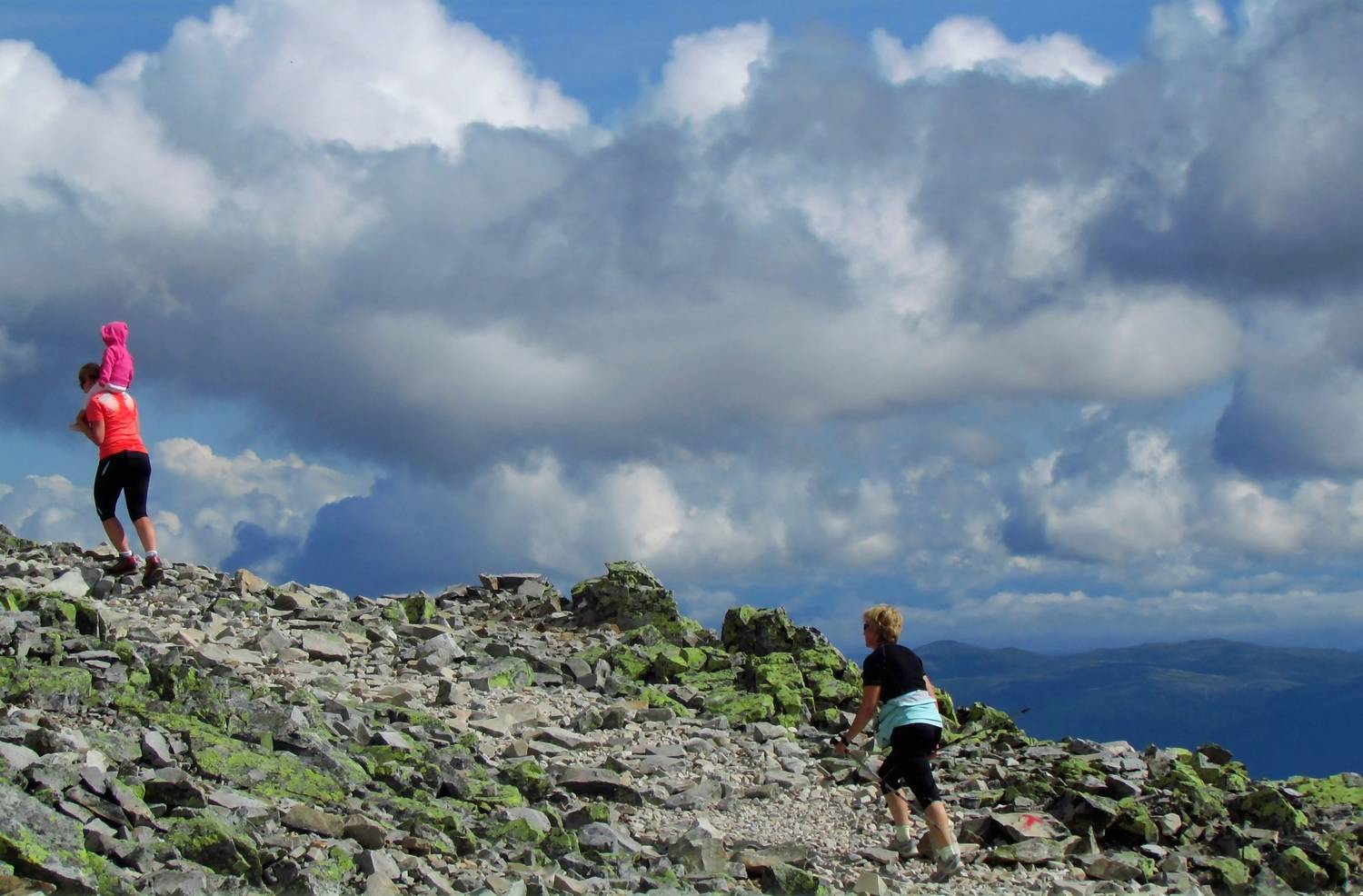 Photo #12878425