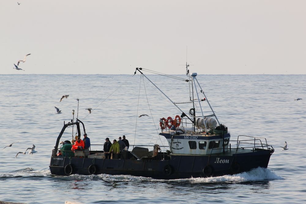 Фотография автора Sparc-jr