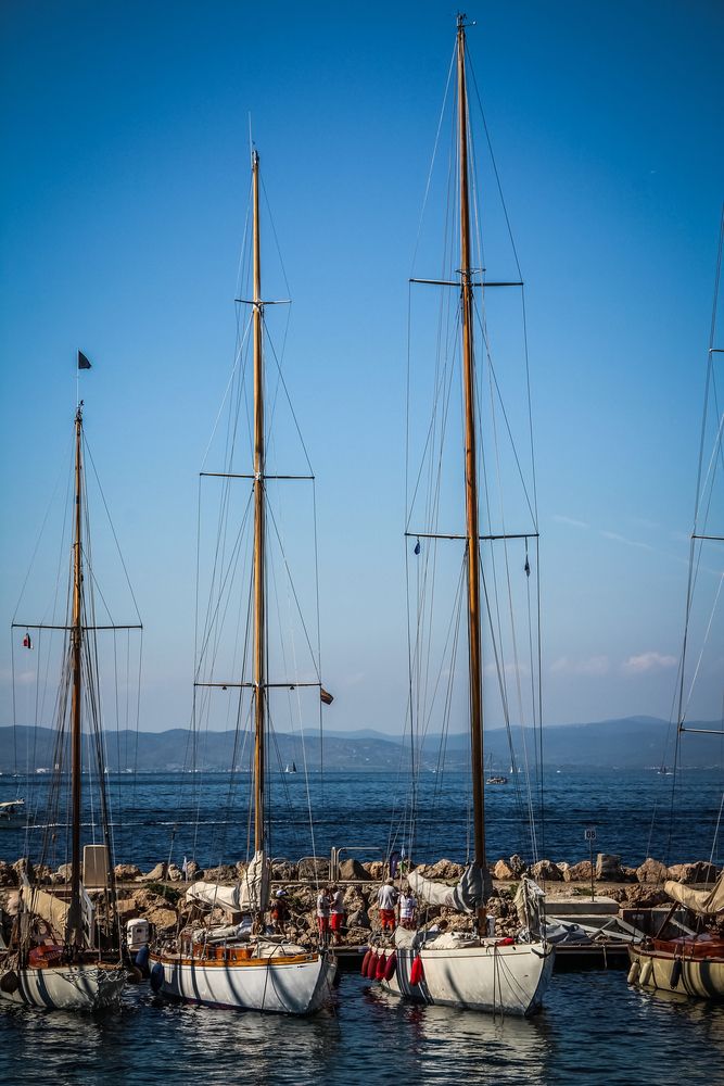 Фотография автора vanessa elbin