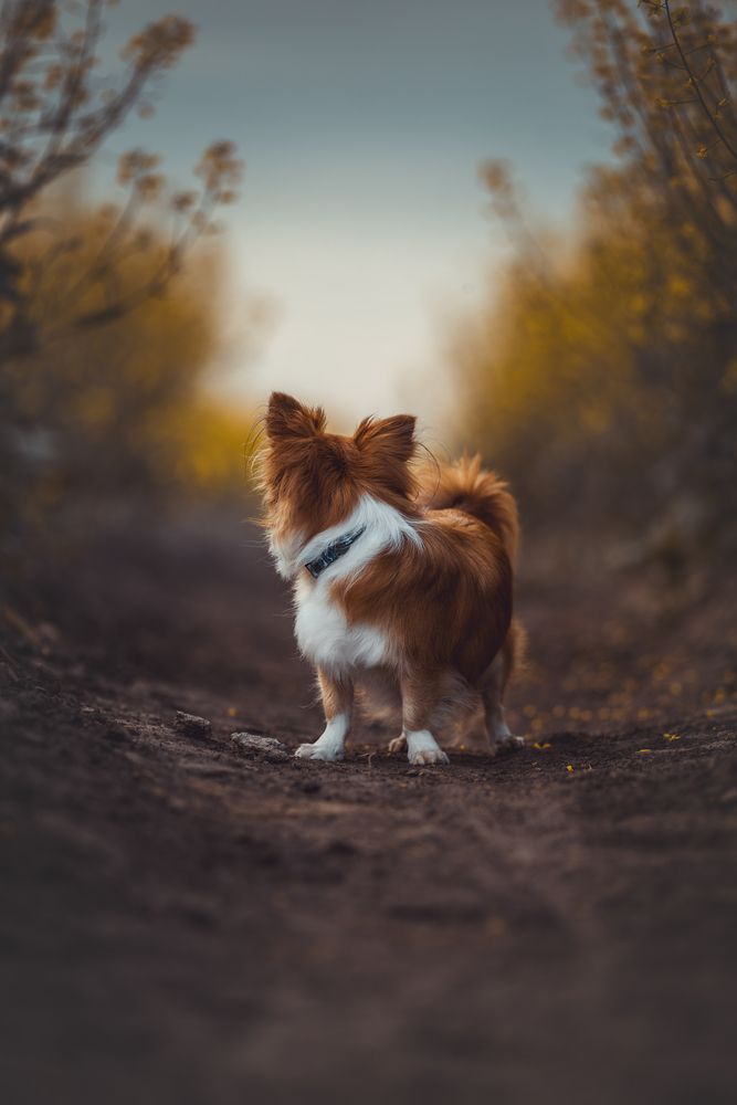 Photograph by Алина Долгова