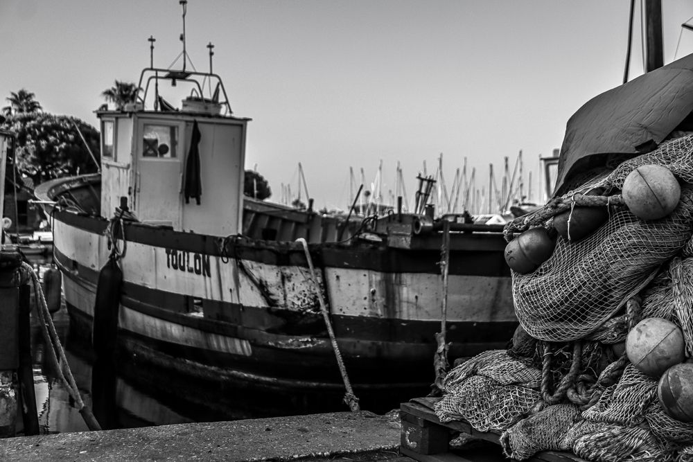 Фотография автора vanessa elbin