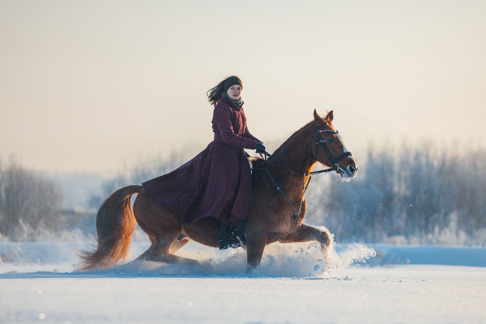 Photograph by Алина Долгова