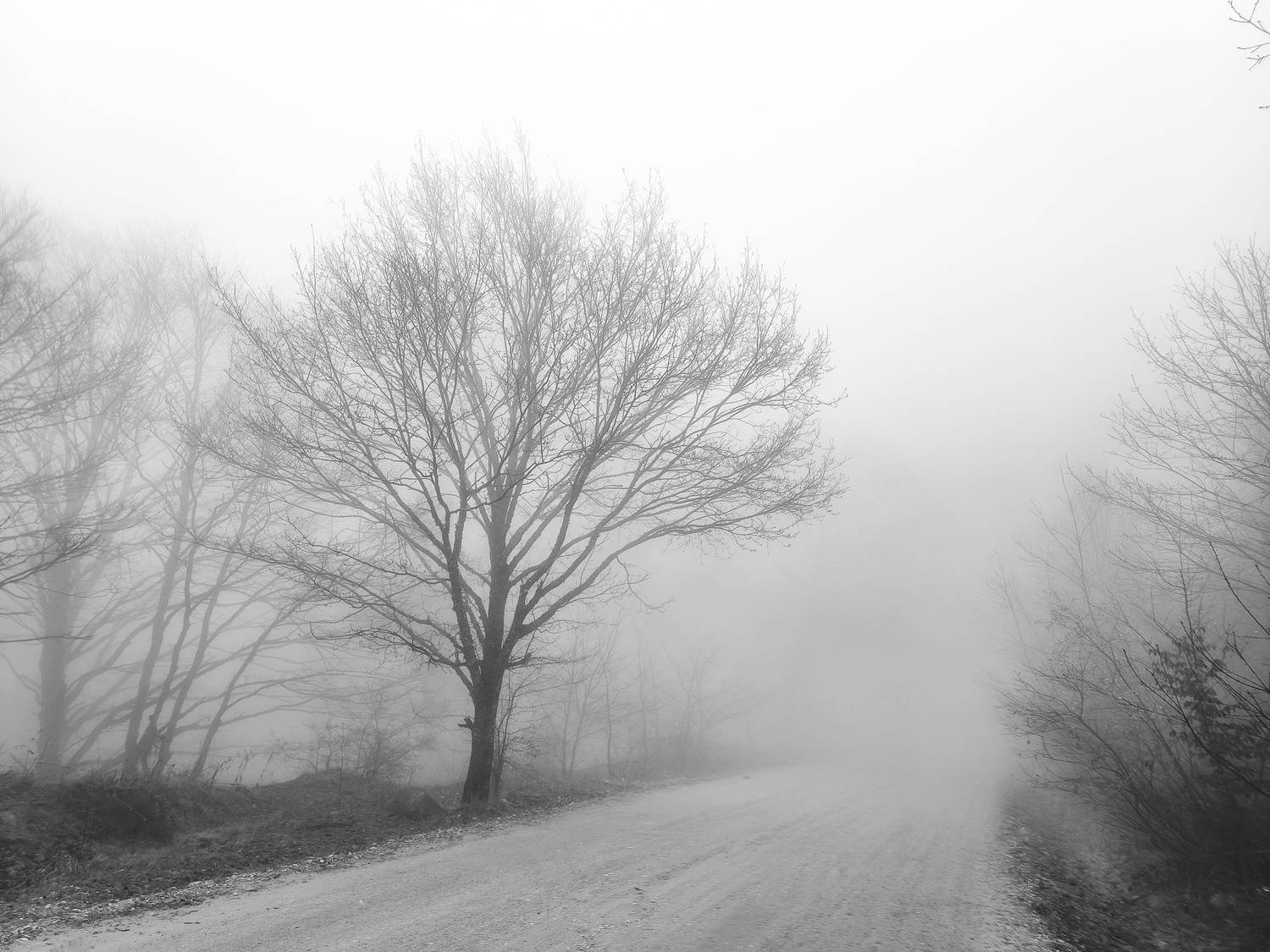 Photo #12878616