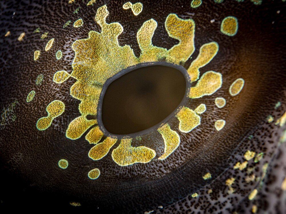 Photograph by Plakida Alexander