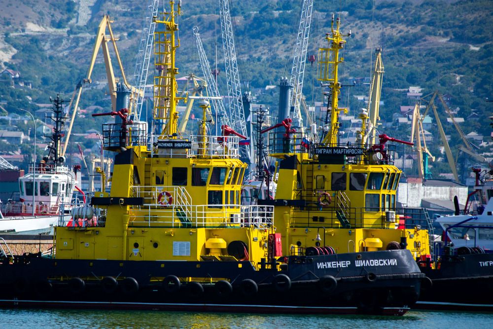 Photograph by Марина Комина