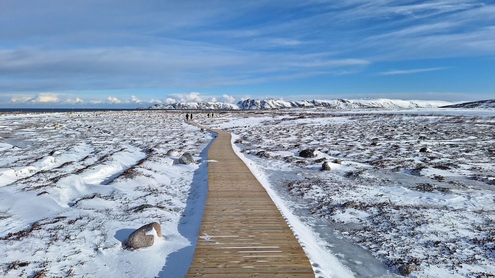 Средь ледяных просторов Териберки