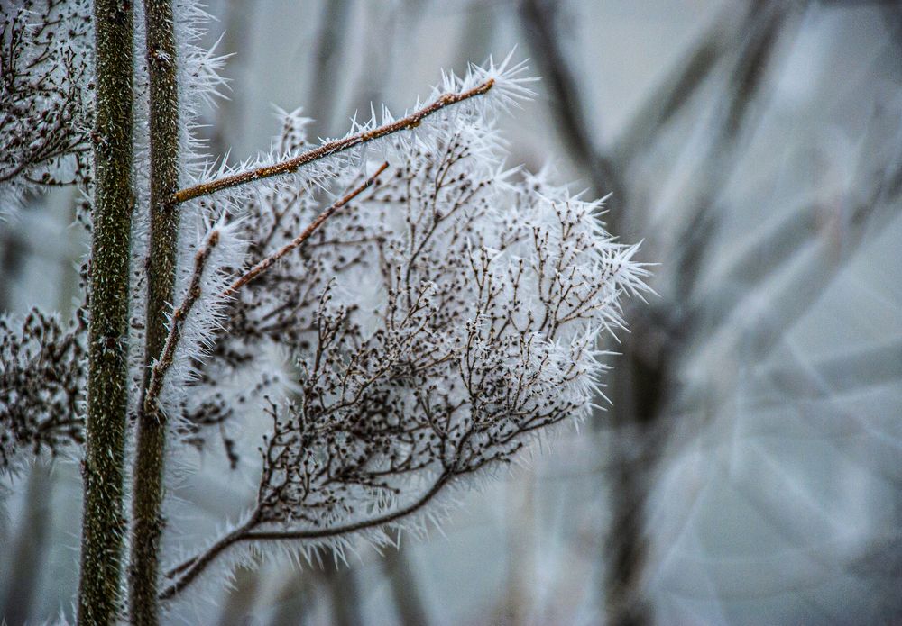 Фотография автора Денис Колесников