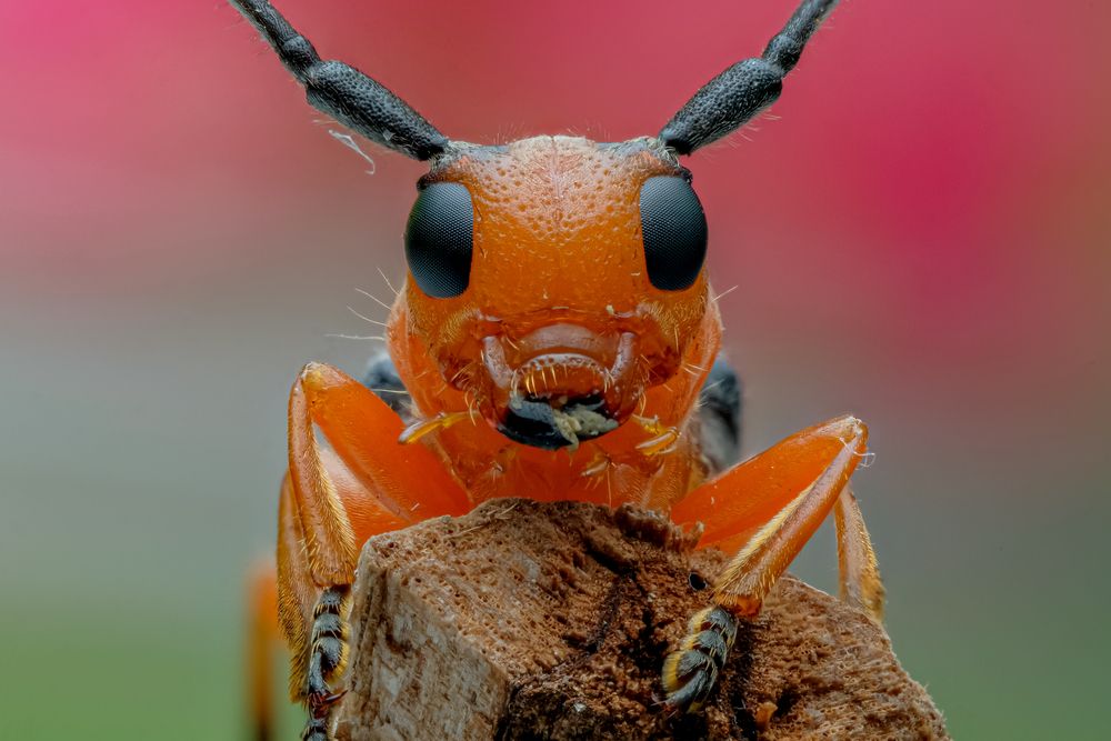 Photograph by Ngoc Hieu Bui