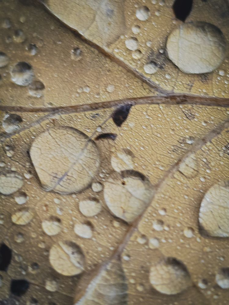 Photograph by Ирина Хлебникова