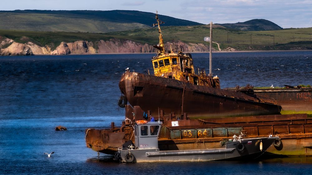 Photograph by Анатолий Буянов