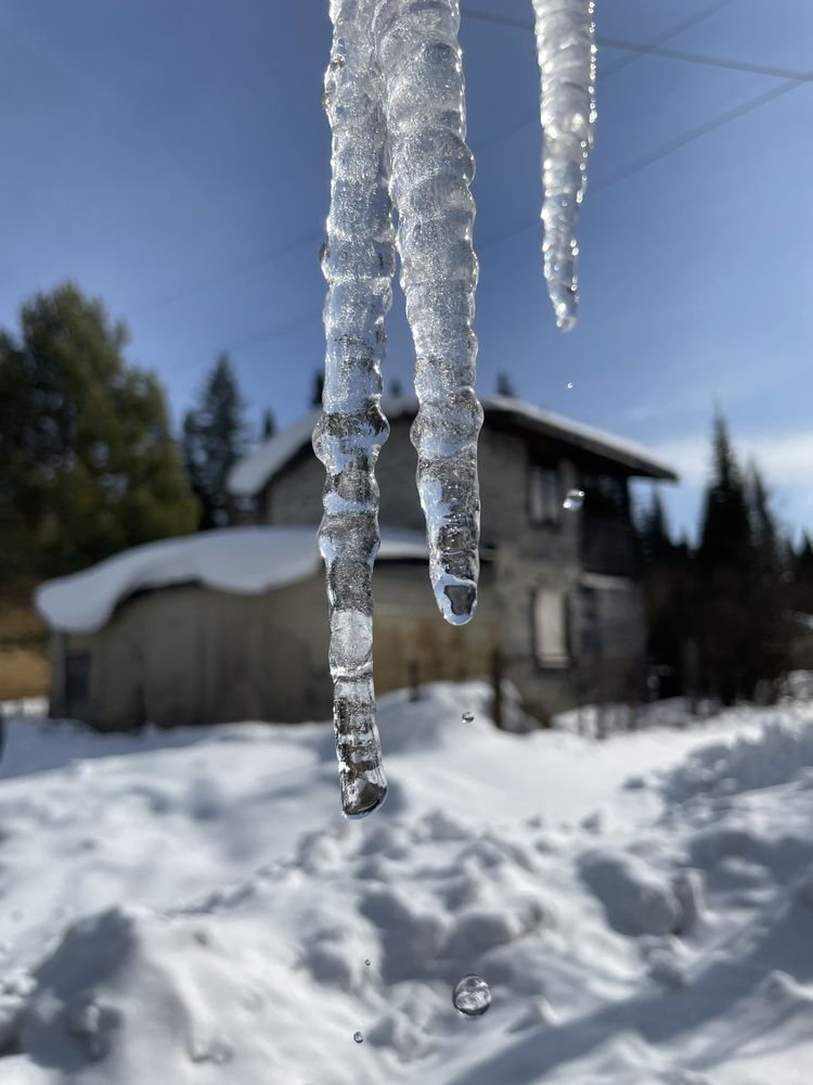Весна