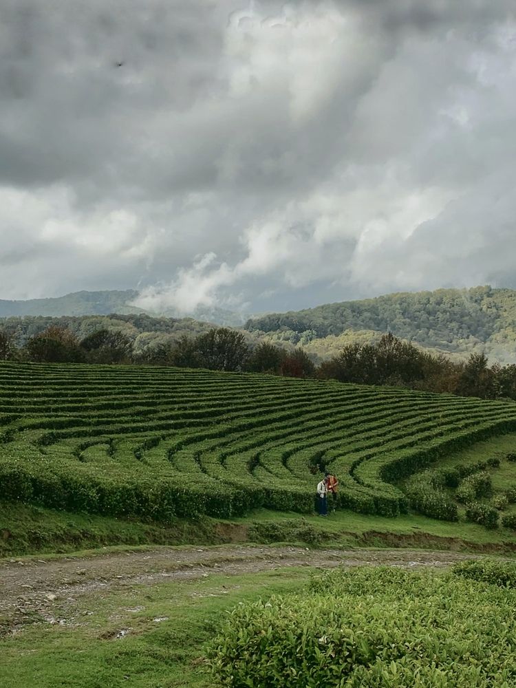 Photograph by Татьяна Семёнова