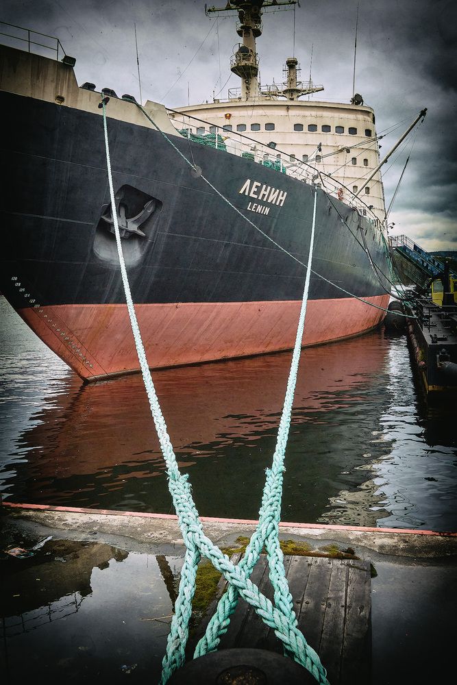 Фотография автора TOTORO