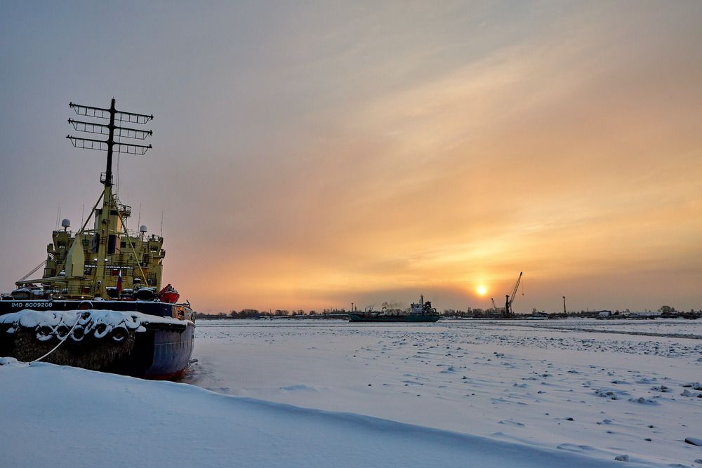 Фотография автора TOTORO