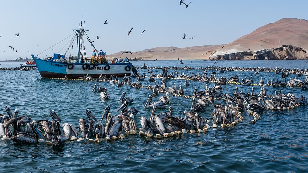 Photograph by Ольга Мусиенко