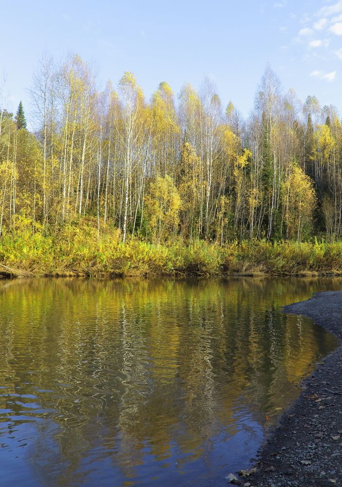 Осень в зеркальном исполнении таежной реки