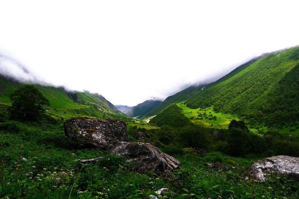 \"Valley of Emerald Dreams\"