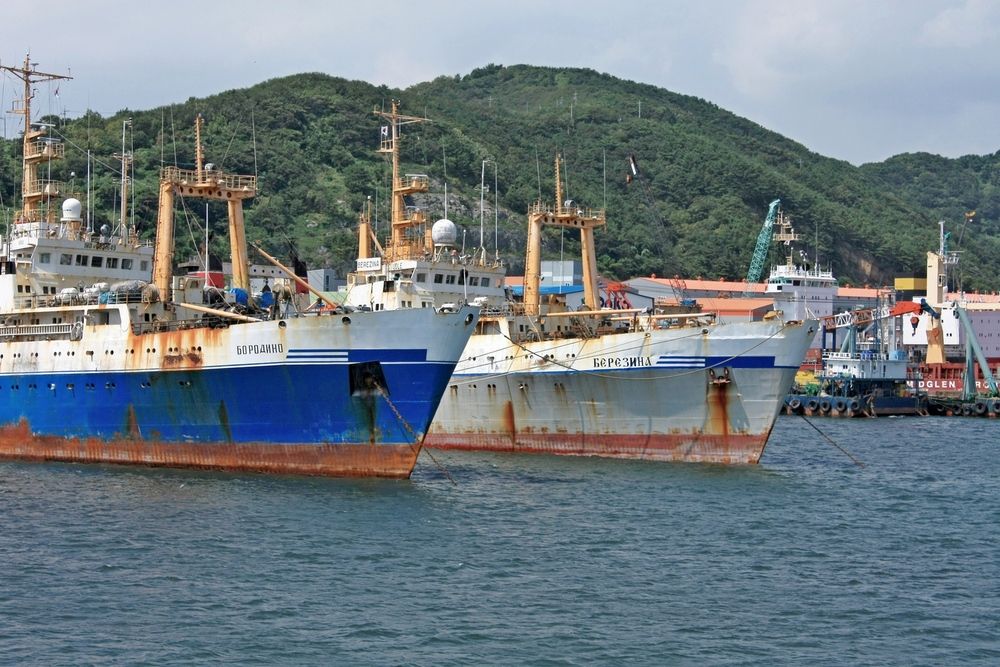 Photograph by Сергей Христинич