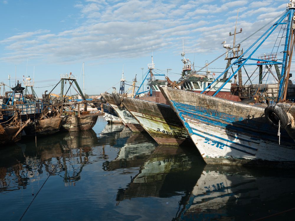 Фотография автора Sophie Abuhazera