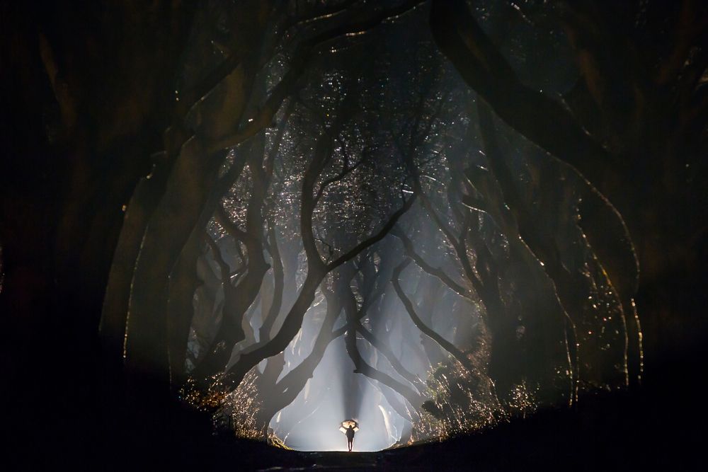 Photograph by Marina Lystseva