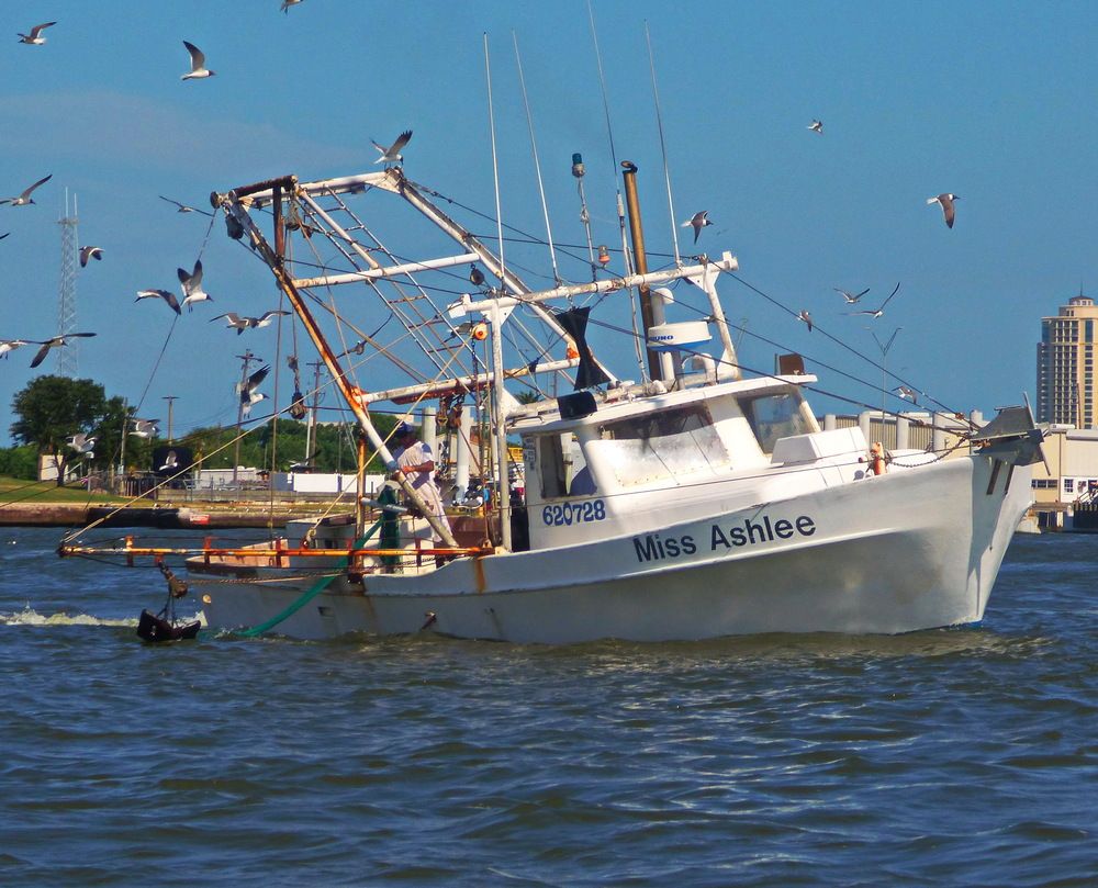 Photograph by Сергей Маслов