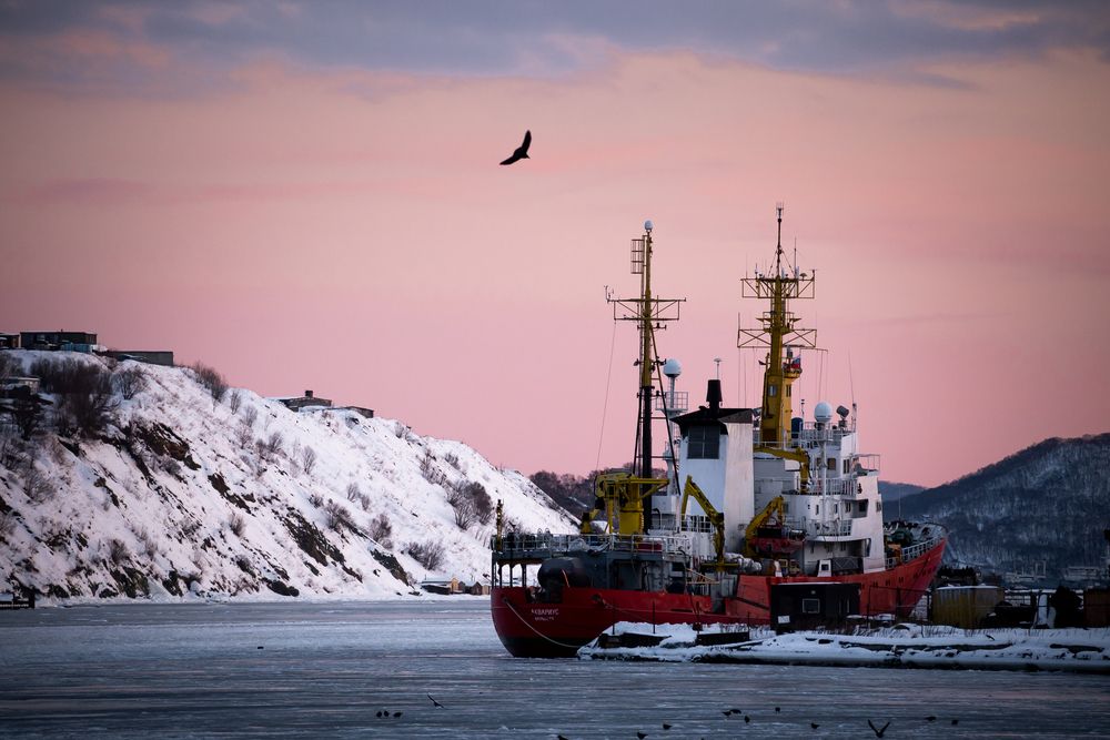 Photograph by Оксана О.