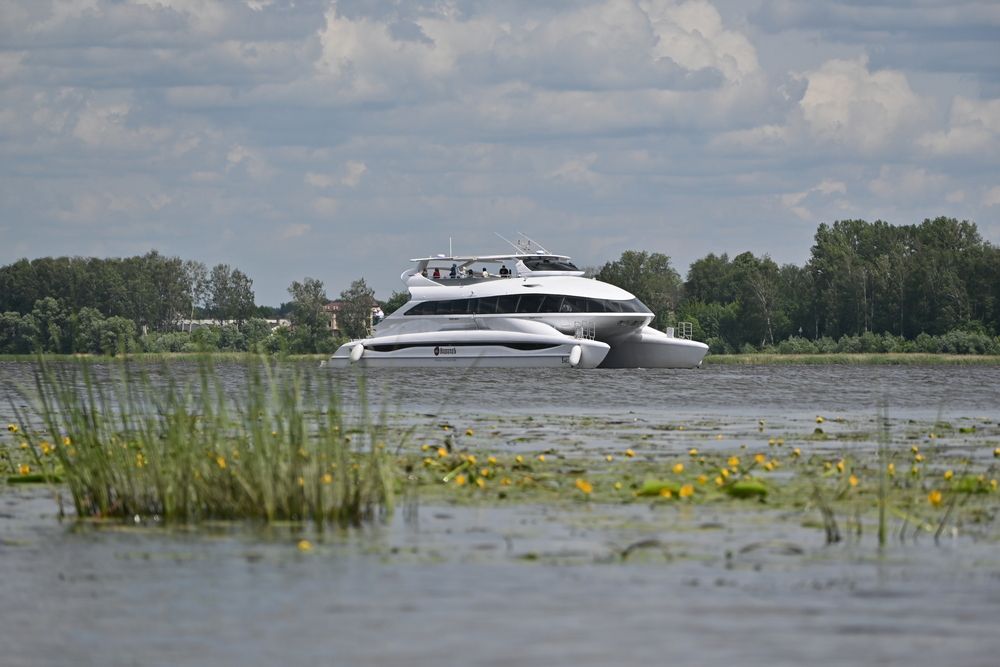 Фотография автора IRINA FILIPPOVA