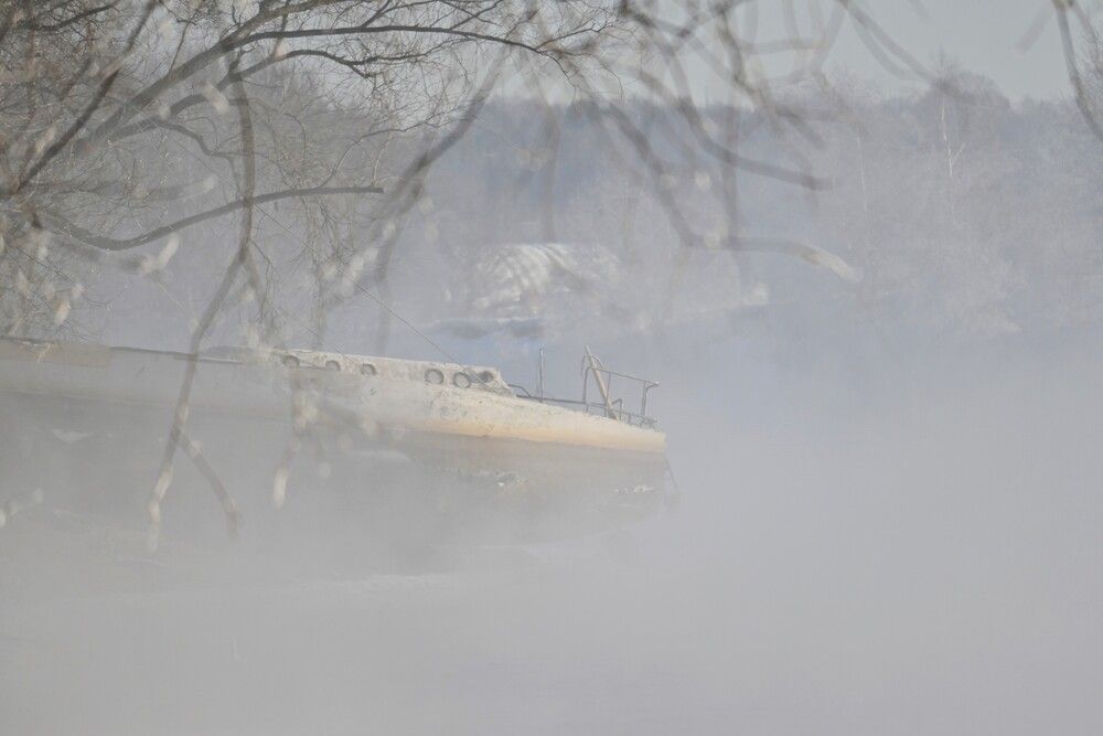 Фотография автора IRINA FILIPPOVA
