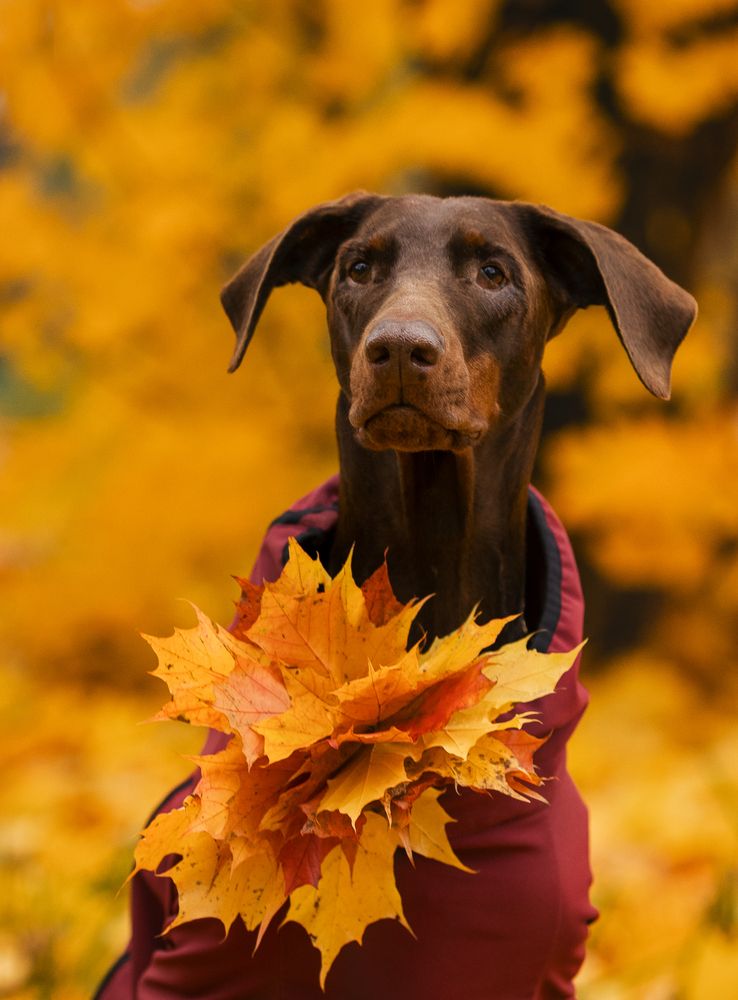 Photograph by Мария Клещенко