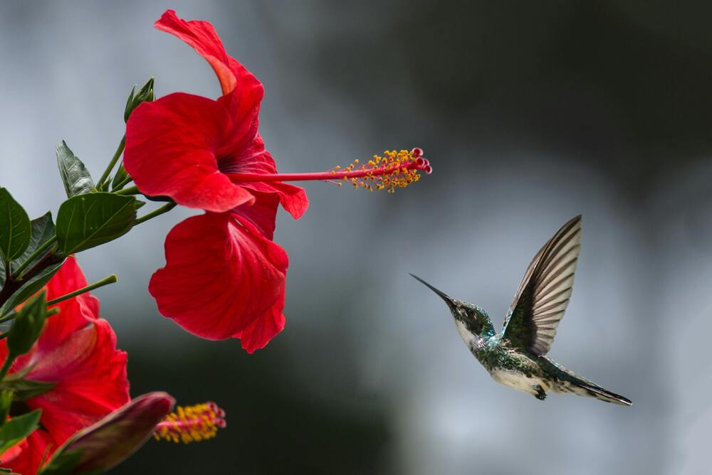 Photograph by Evans Ogutu