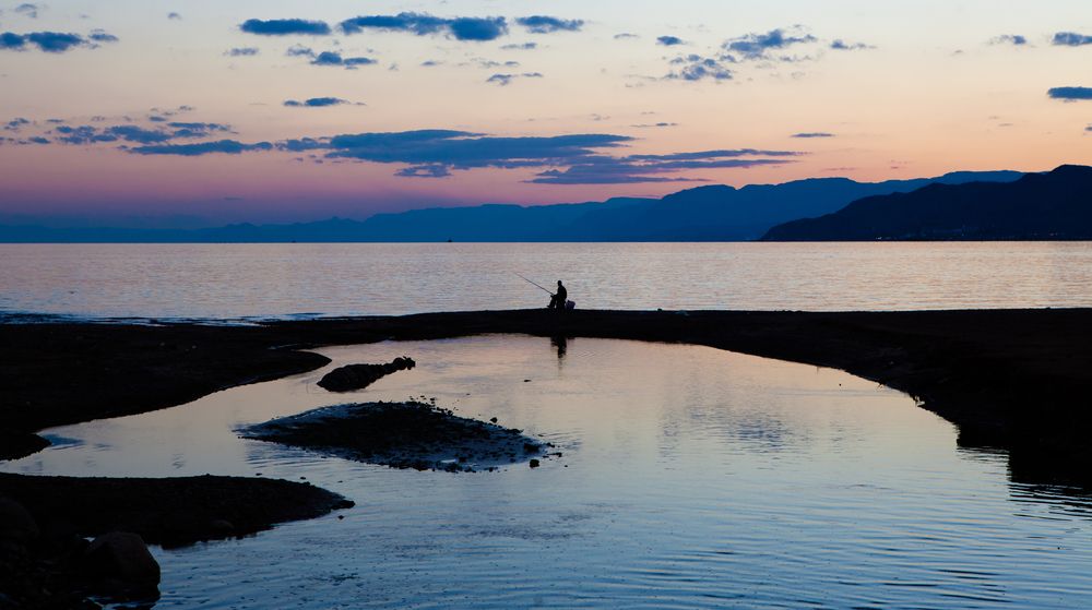 Фотография автора Dmitry Shterenberg